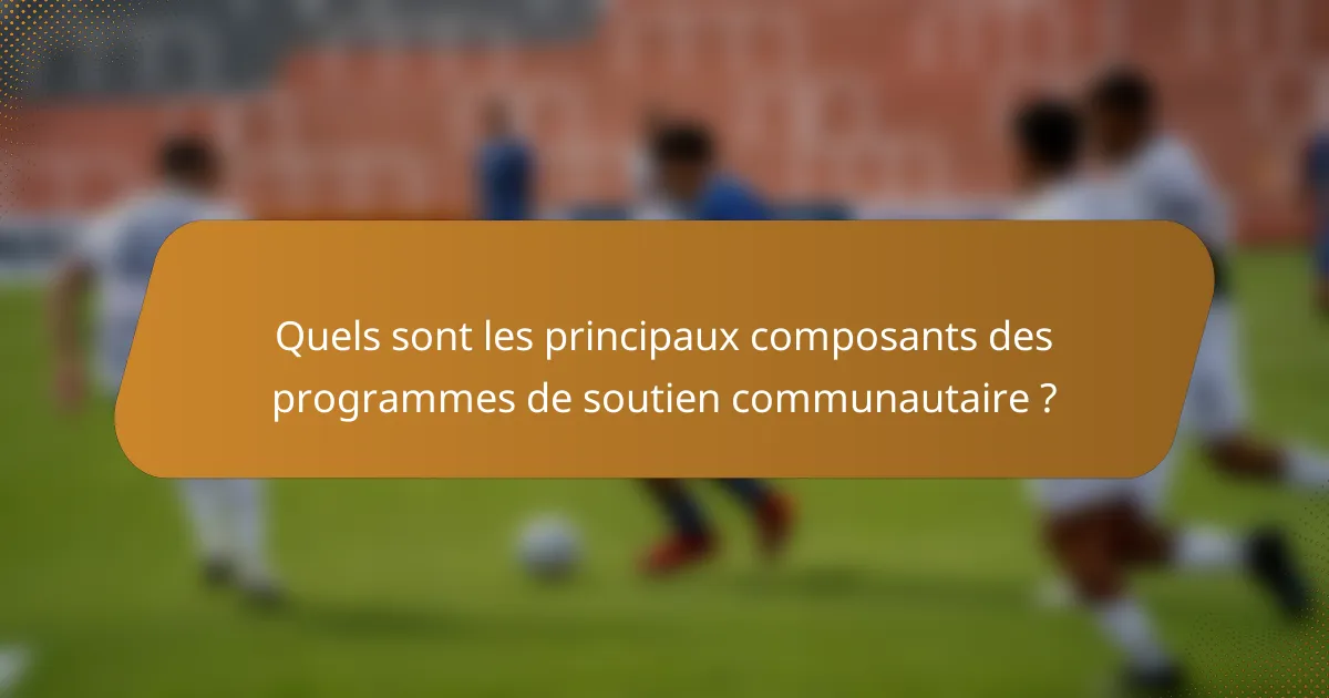 Quels sont les principaux composants des programmes de soutien communautaire ?