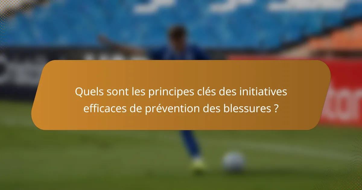 Quels sont les principes clés des initiatives efficaces de prévention des blessures ?